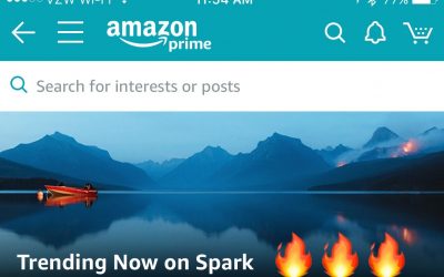 Amazon’s New Shoppable Social Platform #Spark is on Fire