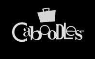 Social Media Marketing Agency for Caboodles
