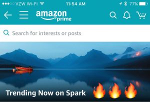Amazon Spark Makes Shopping Social